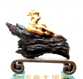 金鸭孵卵N0042