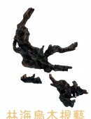 04