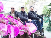 同著名书法大师谢智勇和企业家威斯霸王先生合影
