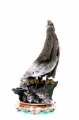 鲨口难逃N0044