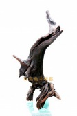 黑熊迎迎N0045