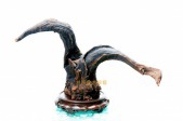 角逐N0026