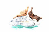 鸟语情浓N0183