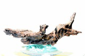 鳄口难逃N0182