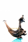 归哺心切N0135